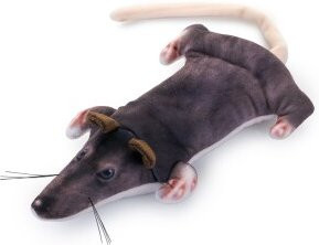 PetTec Ratte, interaktives Plüschtier für Katzen - Bild 1