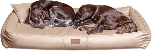 Tierlando CLIFFORD SOFT orthopädisches Hundebett beige, B/T/H: 85 x 60 x 16 cm - Bild 1