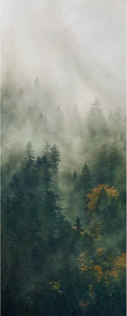 Komar Fototapete Vlies Tales of the Carpathians Multicolor B: 100 cm, H: 250 cm - Bild 1