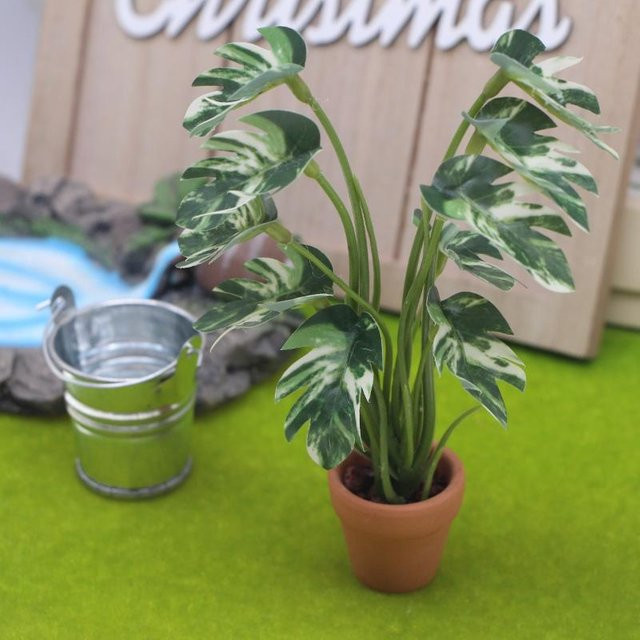 SHNGki Monstera Miniaturpflanze in Grün für Puppenhaus und Micro Landschaft im Maßstab 1/12 - Bild 1