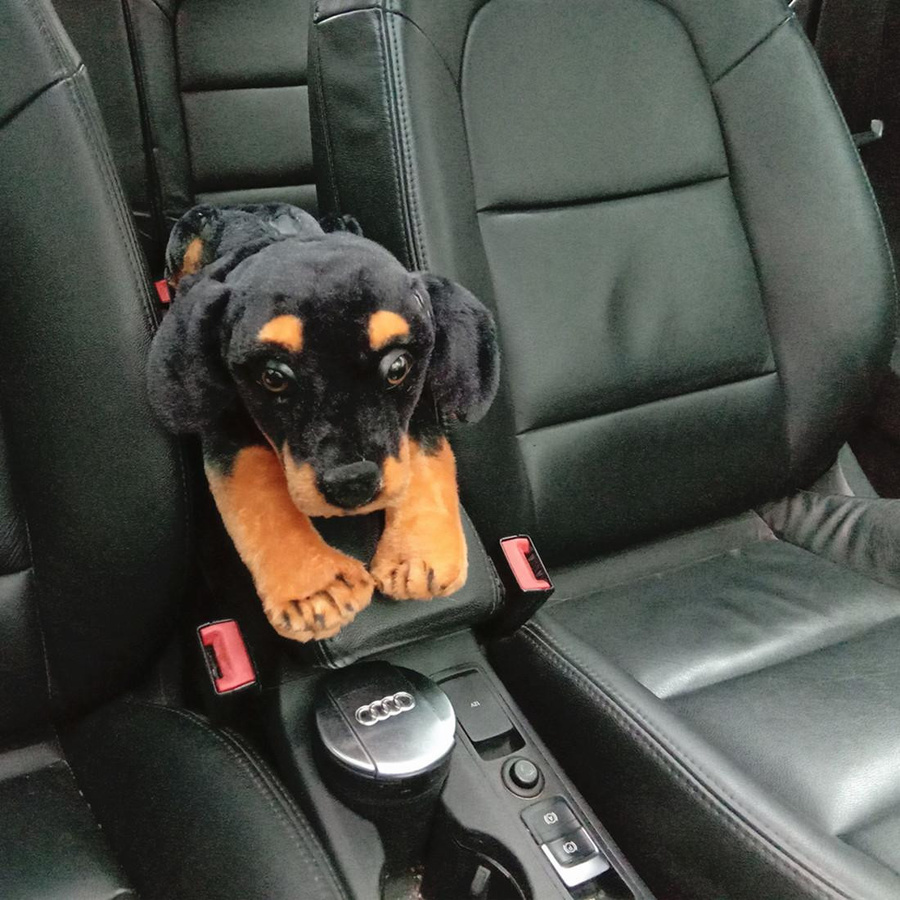 Süßer Mu Cheng Simulationshund Plüschtier Taschentuchbeutel 46cm - Bild 3