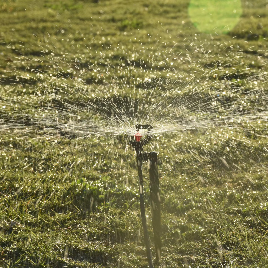 Sprycle 5er Set Rotierende Mikrobewässerung Sprinkler mit 20 cm Pfahl und 1/4 Zoll Anschluss für Gewächshaus und Garten - Bild 4