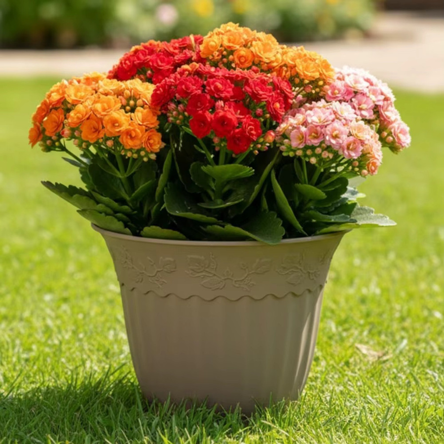 LEENKEA Pflanzentopf aus Kunststoff mit Drainagelöchern für Zimmerpflanzen und Garten, Durchmesser: 20,32 cm - Bild 3