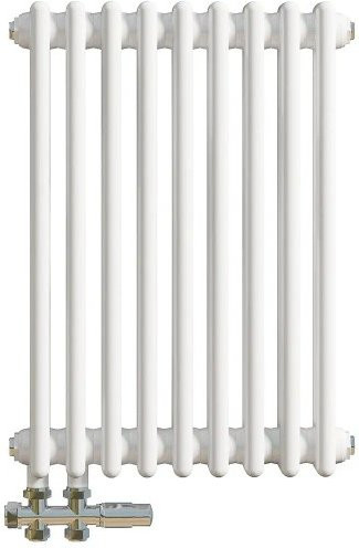 Duschparadies Traditioneller Heizkörper in Gusseisen-Optik mit 2 Säulen, Weiß, B/H: 60,0 x 42,5 cm, 484W - Bild 1
