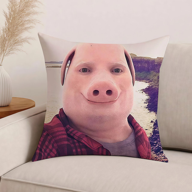 Lustiger Kissenbezug mit Meme John Pork Motiv, quadratisch, Mehrfarbig, B/T/H: 30 x 30 x 0 cm - Bild 1