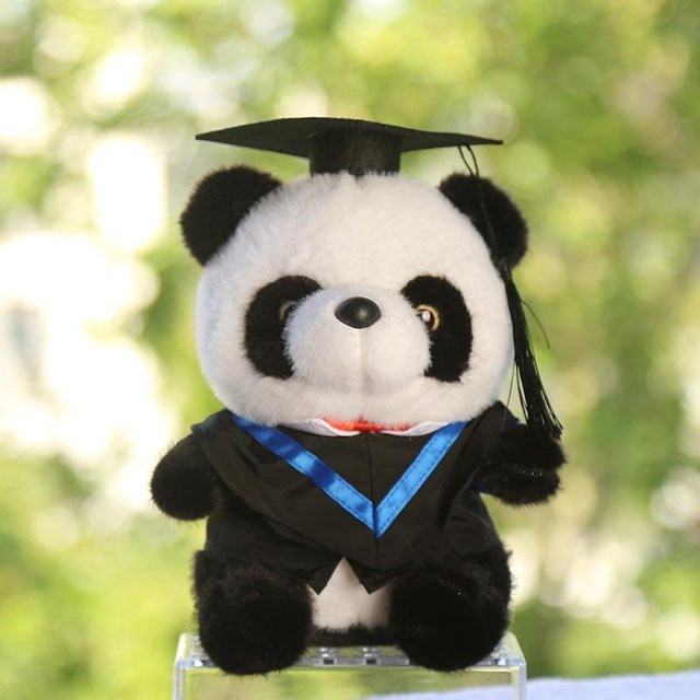 Dr. Panda Abschlussbär, Puppe, Plüschtier, 25cm - Bild 1
