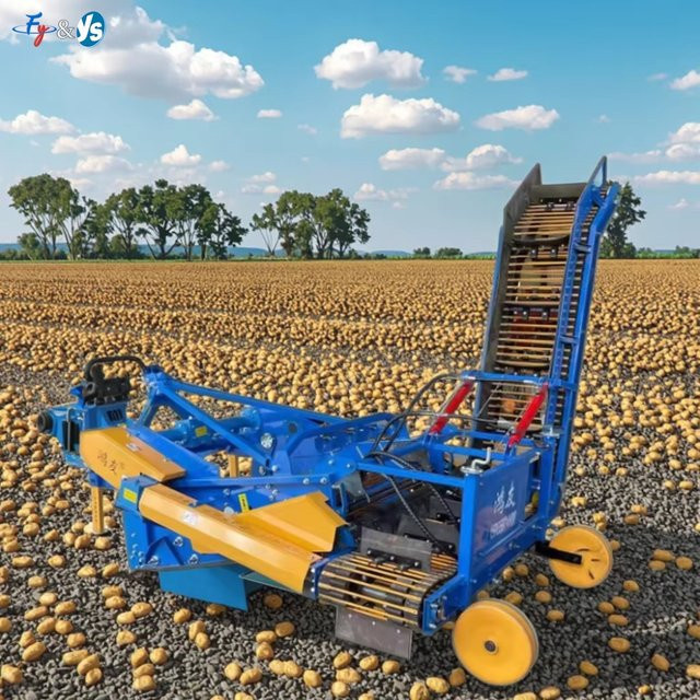 Vollautomatischer Mähdrescher für Kartoffeln, Süßkartoffeln, Zwiebeln und Karotten inklusive automatischer Lademaschine in Blau - Bild 1