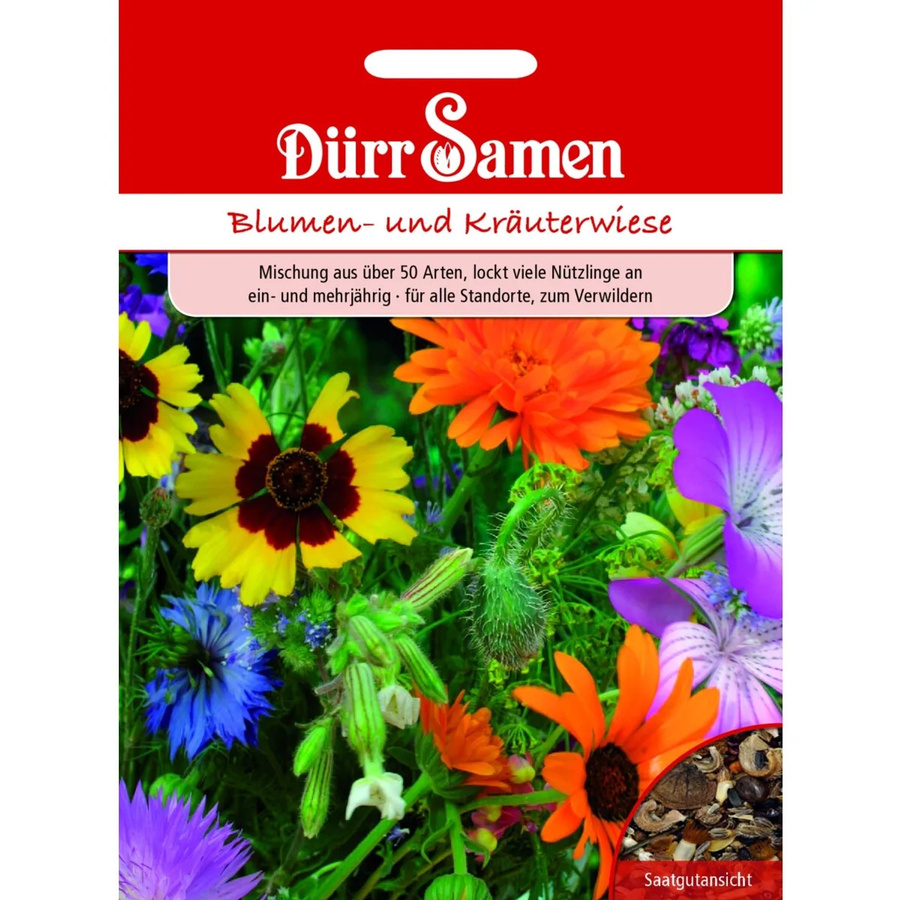 Dürr Samen Blumen- und Kräuterwiese mit 50 Arten ein- und mehrjährigem Saatgut für Garten und Rasenflächen - Bild 2