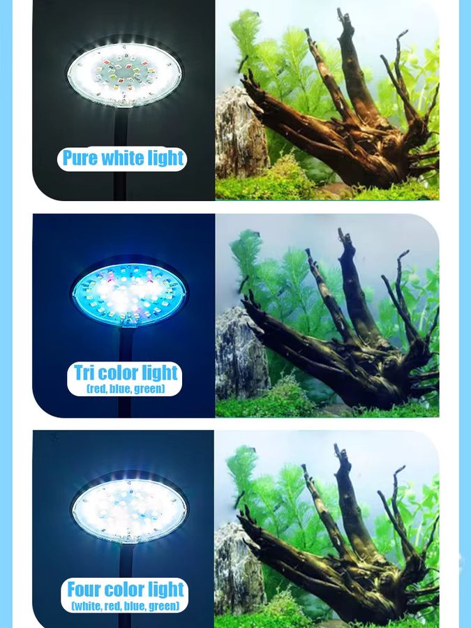 Findixpet LED Aquarium Clip-Licht mit Farbwechsel und Spritzwasserschutz für Wasserpflanzen - Bild 5