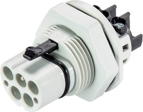 Wieland Electric X6.052.5053.0 Geräteanschluss in Grau und Weiß - Bild 1