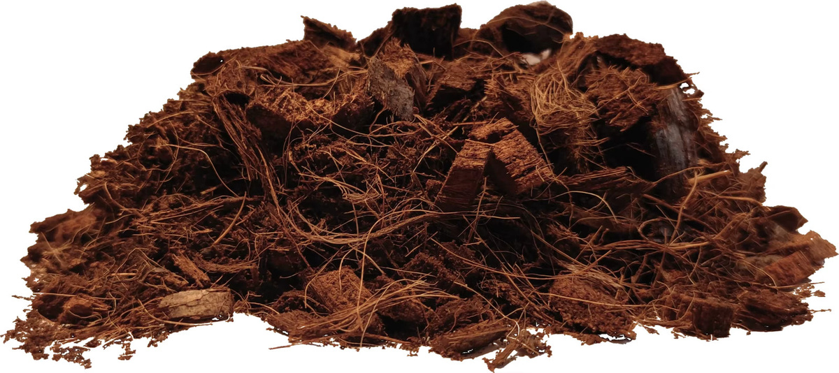 BIOVITA Kokoschips als Spezialsubstrat für Pflanzen und Blumen, braun, 5 l - Bild 3