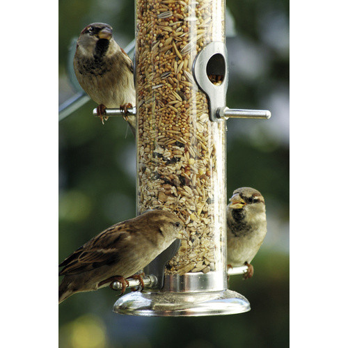 DOBAR Vogelfuttersäule aus Acrylglas und Metall in Silber - Bild 2