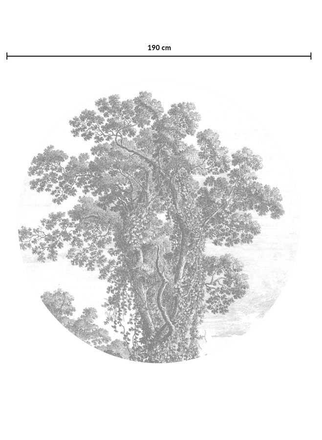 KEK Amsterdam Mural Engraved Tree Circle Wandbild in Schwarz Weiß Grau, Durchmesser: 142,5 cm - Bild 2