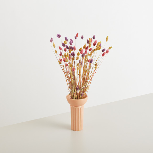 Trockenblumenbund Phalaris Mix von BLUME2000 in Pink, Gelb, Lila und Multicolour - Bild 1