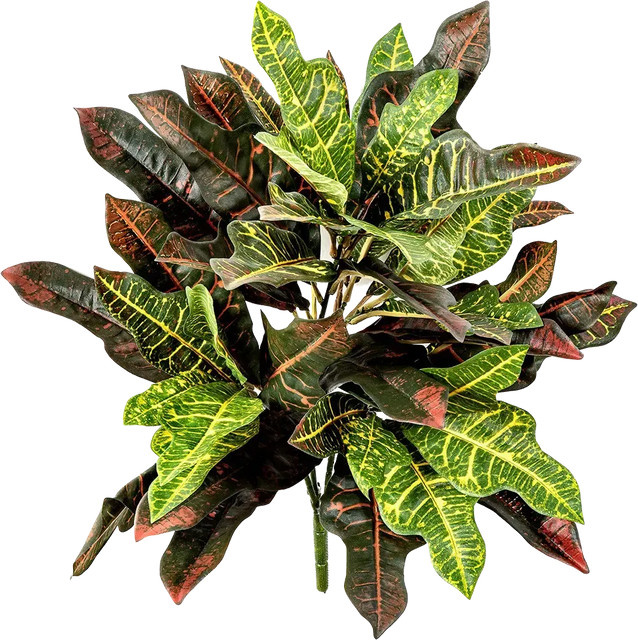 Künstliche Pflanze Aplanta Croton Selma, Höhe: 50 cm - Bild 1