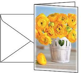 Sigel Grußkarte Ranunculus in Gelb mit weißen Umschlägen, 10 Stück, B/H: 11,5 x 17,0 cm, FSC-Glanzkarton - Bild 1