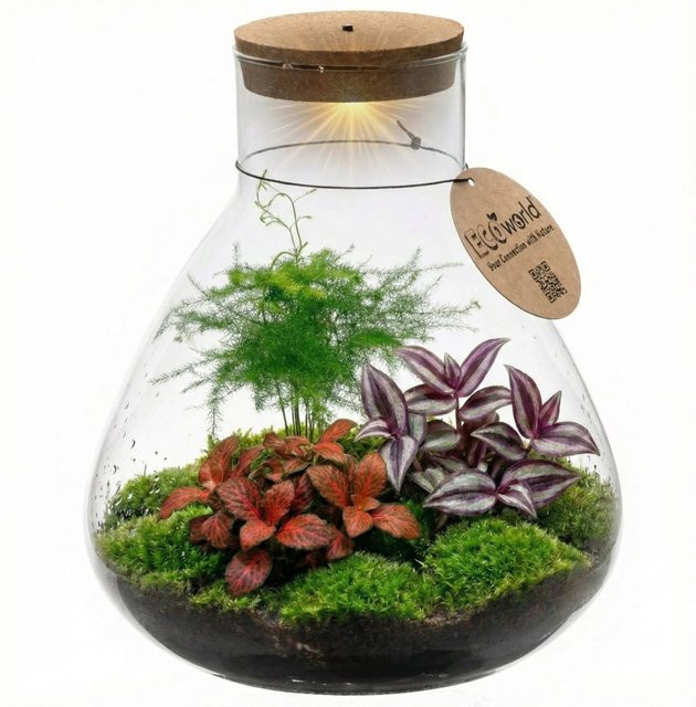 Vdvelde DIY Pflanzen-Terrarium aus Glas in Transparent, Durchmesser: 30 cm - Bild 1