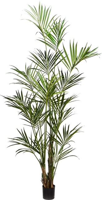 Künstliche Kentia Palme Cataleya von Aplanta, Höhe: 260 cm - Bild 1