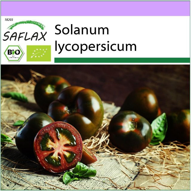 SAFLAX Bio Schwarzkirsche Tomate Samen Solanum lycopersicum 10 Stück - Bild 1