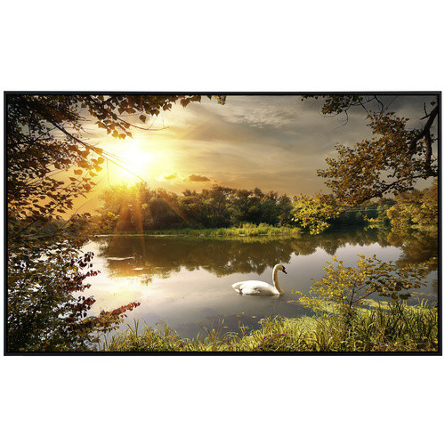 papermoon EcoHeat Infrarotheizung Schwan am Teich mit Matt-Effekt in Bunt, App-Steuerung und Überhitzungsschutz - Bild 2