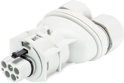 Wieland Electric 96.052.4253.0 Steckverbinder in Grau und Weiß - Bild 1