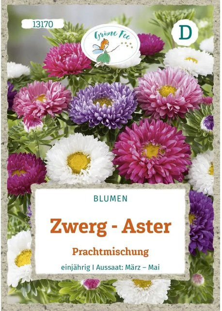 Grüne Fee Zwerg-Aster Prachtmischung Saatgut für Beete, Rabatten und Balkonkästen - Bild 1