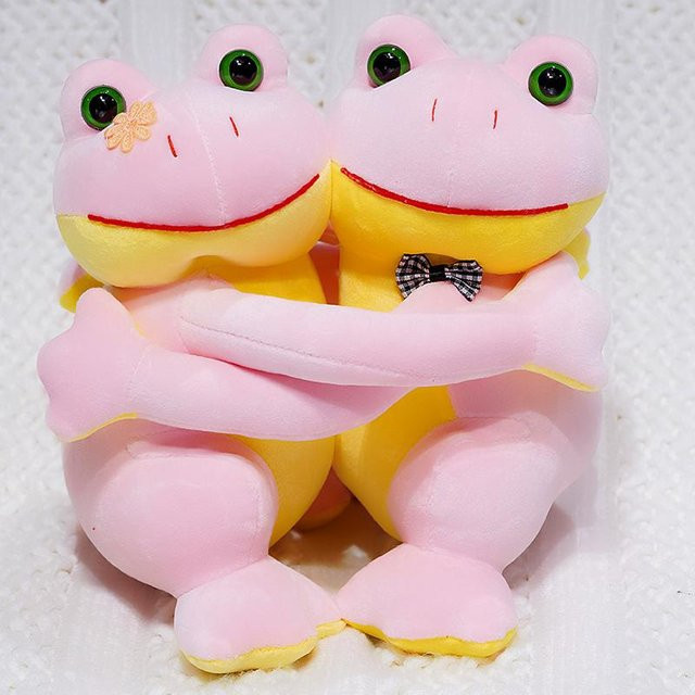 Yiran Health & Beauty Frosch Plüschtier, Rosa Grün Gelb, 23cm - Bild 1