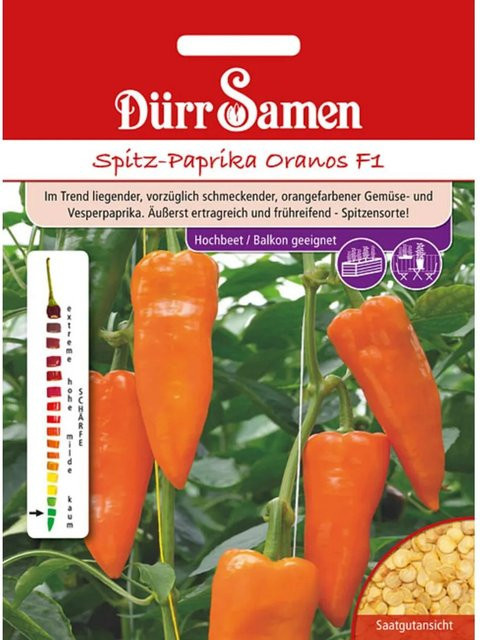 Dürr Oranos F1 Spitz-Paprika Saatgut - Bild 1