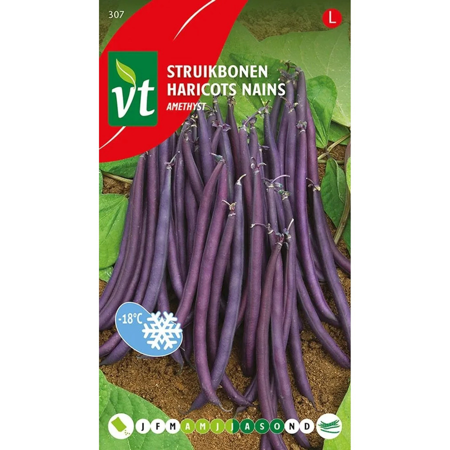 Arborix Amethyst Bohnen Samen, Lila, 25 g - Bild 2