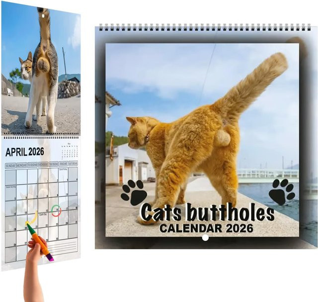 Wandkalender 2026 mit Katzenmotiv als Monatsplaner in Multicolour - Bild 1