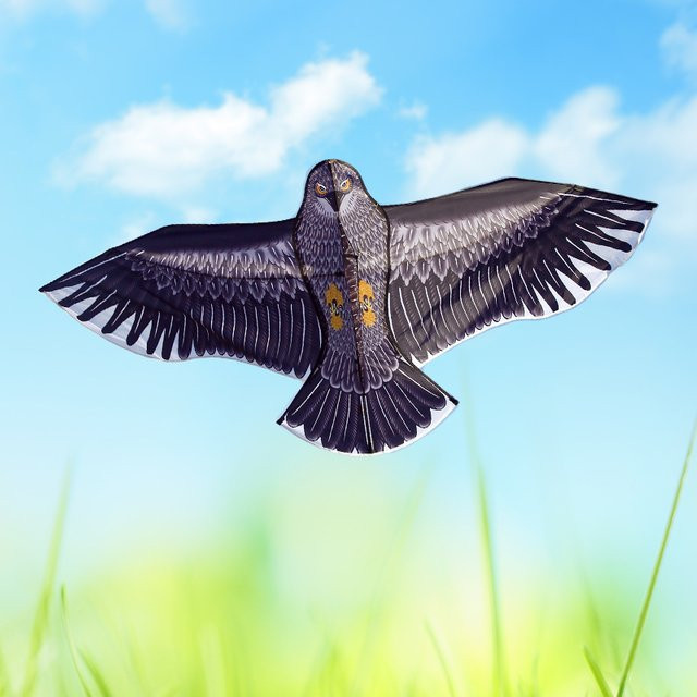 YongJian Riesen-Adlerdrachen, Fliegender Vogeldrachen, 2m, mit 100m Schnur - Bild 1