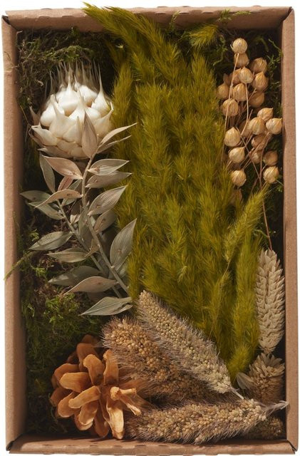 Trockenblüten Potpourri Set Natural von Othmar Decorations in Beige und Multicolour aus Naturmaterialien - Bild 1