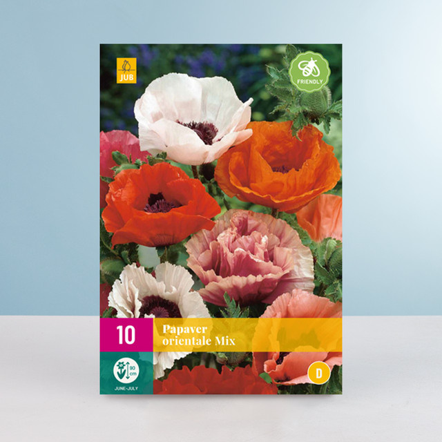BLUME2000 Türkischer Mohn Mix aus 10 Wurzeln für dein Staudenbeet - Bild 1
