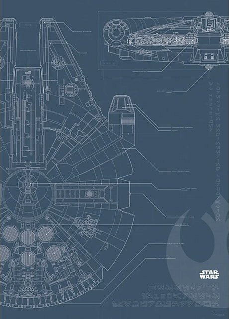 Komar Wandbild Star Wars Falcon, bunt, B/H: 50 x 70 cm - Bild 1
