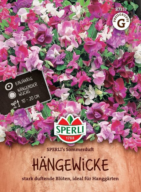 SPERLI Hängewicken-Samen Sommerduft bunt - Bild 1