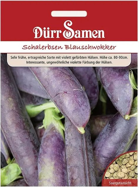 Dürr Blauschwokker Schalerbsen Saatgut Gemüse 155 g - Bild 1