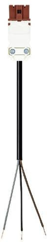 Wieland Electric Anschlussleitung Schwarz 91.232.6004.4 - Bild 1