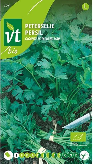 Arborix Bio Petersilie Hilmar Saatgut großblättrig 2 g - Bild 1