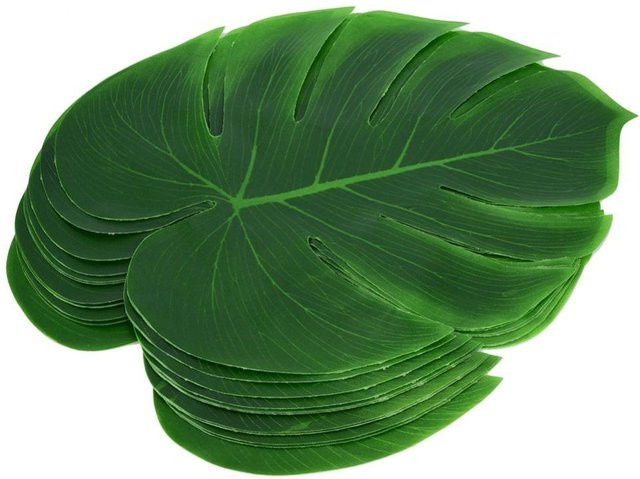 12 Stück Hitzebeständige Monstera-Blatt Tischsets aus Silikon in Grün, Rutschfeste Platzsets mit Floral-Design von CDtaiheng - Bild 1