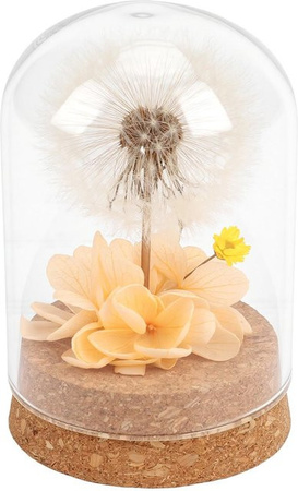 Echte konservierte Löwenzahn Ewige Blume in einer weißen Glasglocke zur Dekoration für Wohnzimmer und Büro