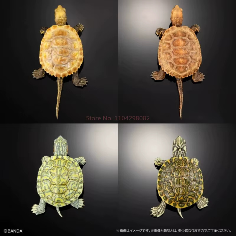 Bandai Biologische Enzyklopädie Gashapon Schildkröte, Modell Tiere - Bild 3