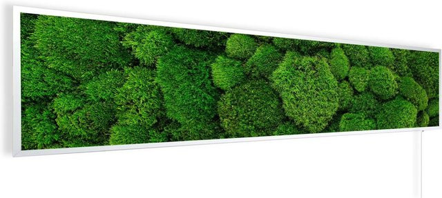 Könighaus Infrarotheizung Panorama Buena Vista Moos in Weiß, B: 120 cm, H: 30 cm, T: 30 cm - Bild 1