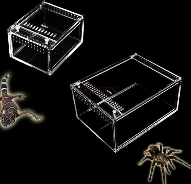 Binchi Outdoor Product Transparente Acryl-Krabbelboxen für Spinnen, Tausendfüßler, Käfer, Hornfrösche und andere Krabbeltiere - Bild 1