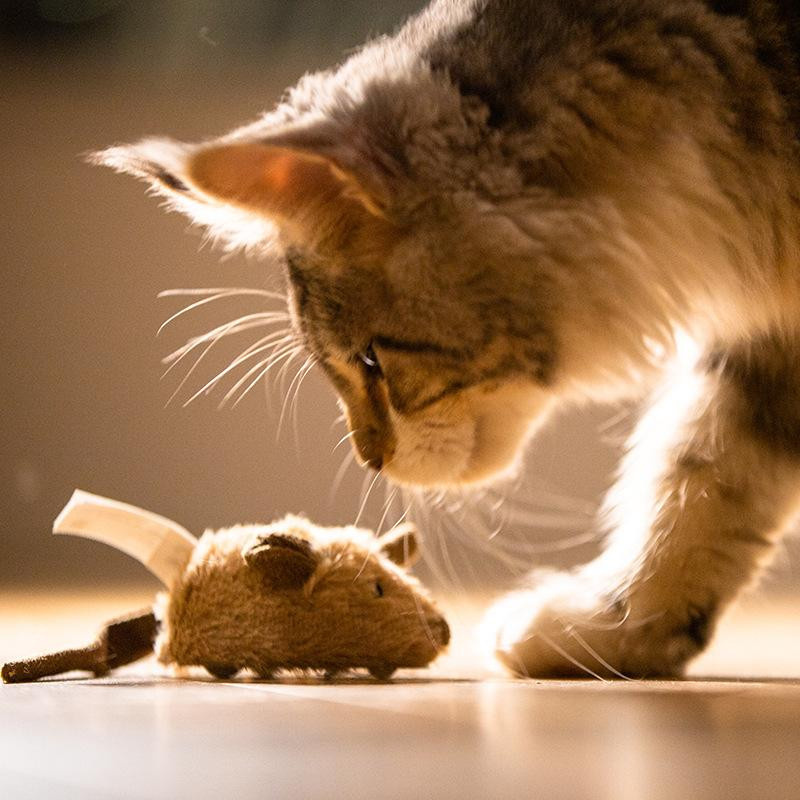 Pulley Maus Katze Plüsch Sound Katzenspielzeug Haustier Spielzeug - Bild 3