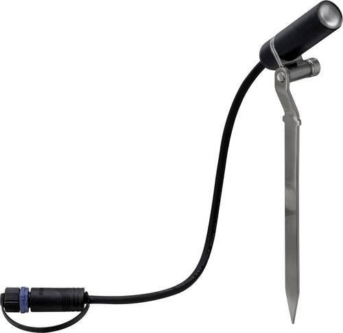 Paulmann Plug & Shine Plantini LED-Erdspieß Gartenstrahler IP65 Warmweiß aus Aluminium - Bild 1