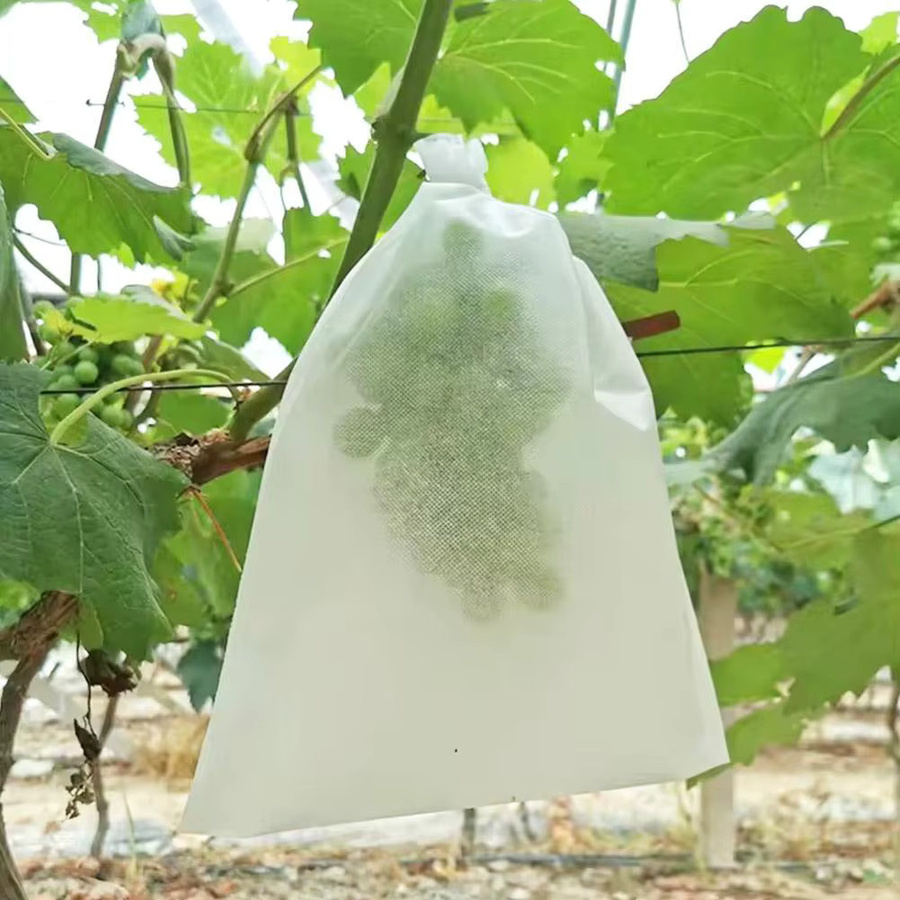 Wasserdichte Obst- und Gemüse-Schutztasche aus Vlies als Anti-Insekten- und Anti-Vogel-Netz für Pflanzen und Sämlinge in Weiß - Bild 2