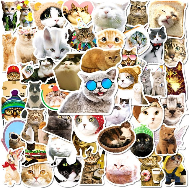 50 lustige und süße Katzen-Meme-Aufkleber von Anime Worlds Store in Multicolor für Wasserflaschen, Laptops und Handyhüllen - Bild 1