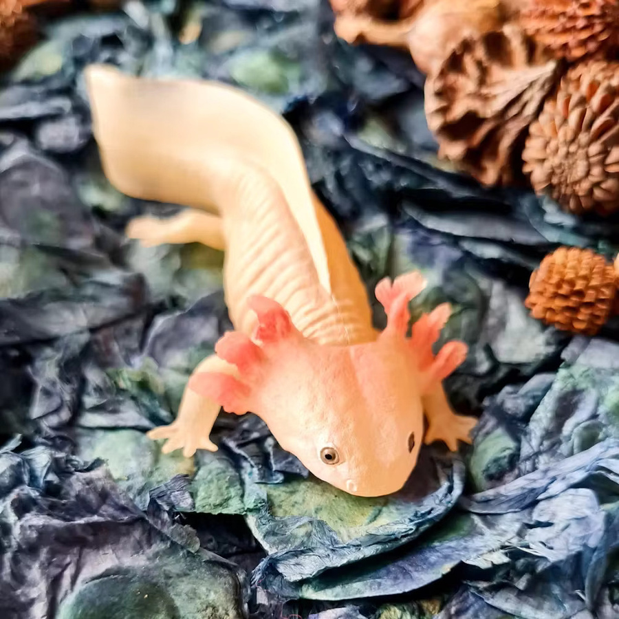 Toymany Axolotl Salamander Reptil Tier Modell, Action Figuren, Tiere - Bild 2