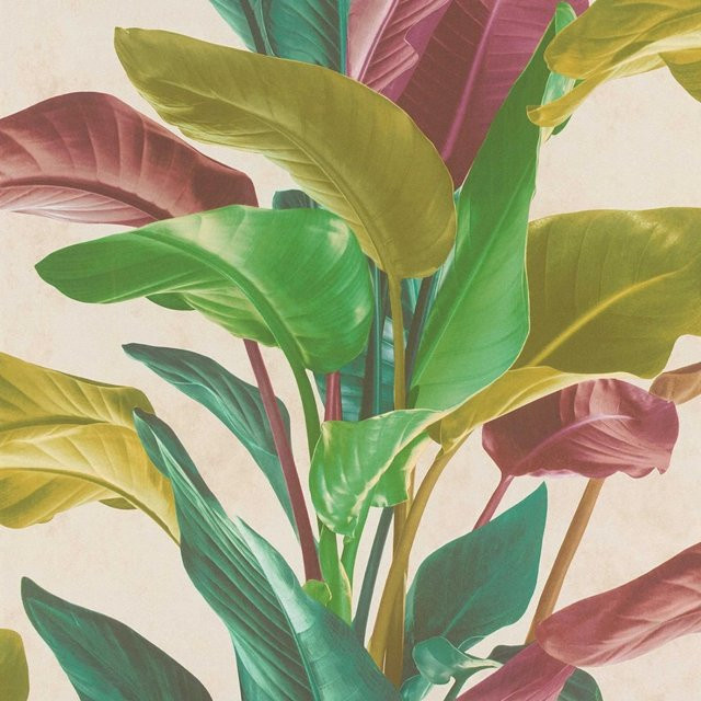 Tadessi Vliestapete Floral M1-No.615 in Mehrfarbig - Bild 1