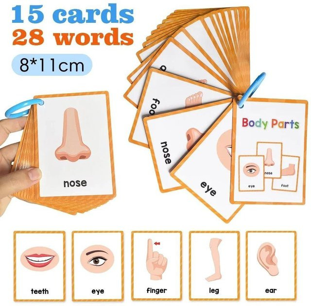 Kinder Körperteile Lernkarten, Montessori Spielzeug, ab 3 Jahre - Bild 1